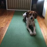 Samantha - Instagram Profile Picture of Samantha (@speciale.sam) on Instagram