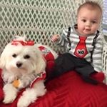 Profile Picture of Kim Reedy (@eastwestcoastmom) on Instagram