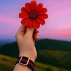 Profile Picture of Lourie Delores (@Lourie-Delores) on Facebook