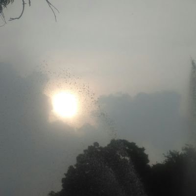 Profile Picture of Sapna Chadha (@SapnaChadha3) on Twitter