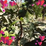 Profile Picture of Sherilyn Ilar (@sherilyn.ilar.2025) on Facebook