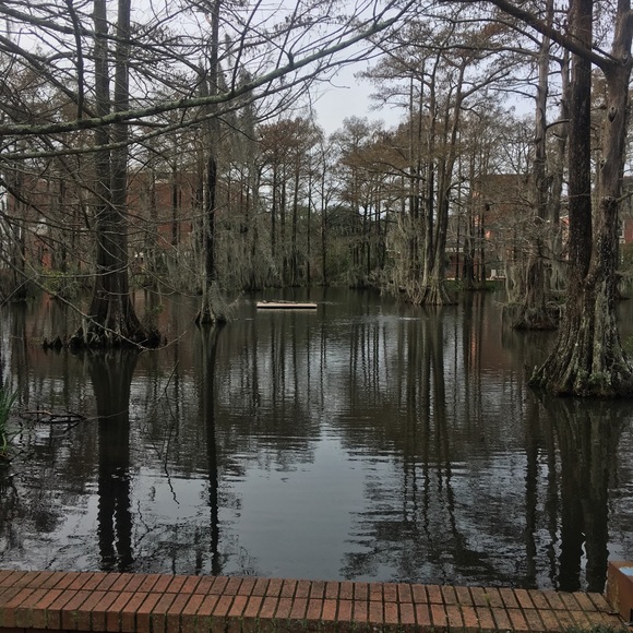 Profile Picture of Robert Perkins (@robperk) on Poshmark