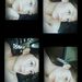 Profile Picture of Sette Adame (@rosetteal) on Pinterest