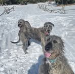 Profile Picture of Amanda Rose Zentner (@amanda.r.zentner) on Facebook