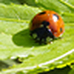 Profile Picture of Alightbourne (@alightbourne) on Flickr