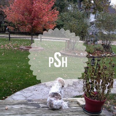 Profile Picture of Pamela Hulbert (@PamelaHulbert2) on Twitter