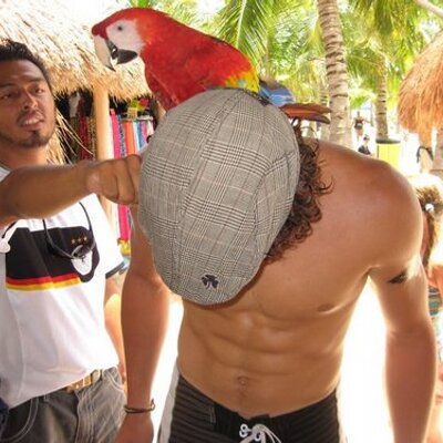 Profile Picture of Ian Morrow (@ianmorrow14) on Twitter