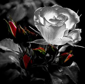 Profile Picture of Alec Burdick (@Alec-Burdick) on Facebook