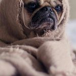 Profile Picture of Agata Woźniak (@agata.wozniak.7146) on Instagram