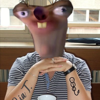 Profile Picture of Brick Jeff (@BrickJeff2) on Twitter