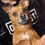 Profile Picture of Aaron Macias (@aaronmacias1) on Instagram