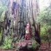 Profile Picture of Casey Barbee (@hippiesteam) on Pinterest
