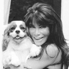 Profile Picture of Pamela Lovett (@PamelaJLovett) on Twitter