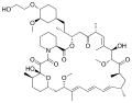 Profile Picture of Everolimuson Wikipedia