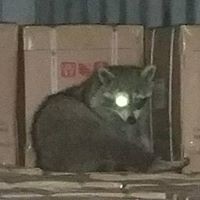 Profile Picture of Jason Ulloa (@jason-ulloa-1) on Quora