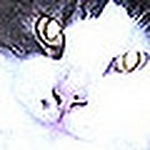 Profile Picture of ClaycrazyPottery (@ClaycrazyPottery) on Flickr