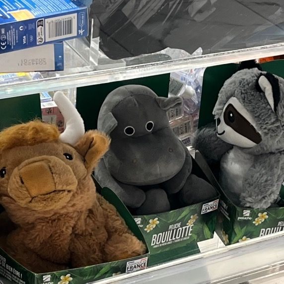 Profile Picture of chloeng (@chileing) on Tiktok