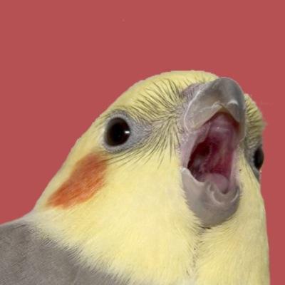 Profile Picture of Allen Reilly (@stalerye) on Twitter