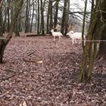 Annick Gillot - Instagram Profile Picture of Annick Gillot (@8anie) on Instagram