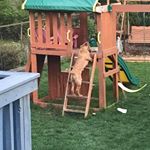 Profile Picture of Anne Cubera Lipp (@annecuberalipp) on Instagram