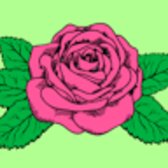 Kimberly Assal - Poshmark Profile Picture of Kimberly Assal (@kmba85) on Poshmark