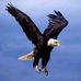 Profile Picture of Dewayne Pohl (@dewayne.pohl) on Facebook