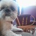 Profile Picture of Michael Cadwell (@Michael-Cadwell) on Facebook