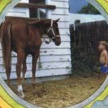 Debra Montgomery - Fine Metal Sculpture - Pinterest Profile Picture of Debra Montgomery - Fine Metal Sculpture (@DMFineMetal) on Pinterest