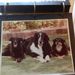 Profile Picture of Cathleen Schneider-Russell (@schneiderrussel) on Pinterest