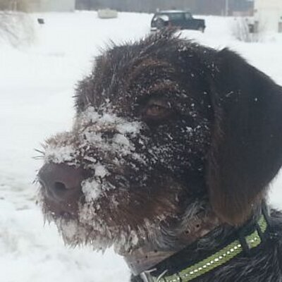 Profile Picture of Craig Mart (@BentMart) on Twitter