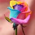 Profile Picture of Abraham Yosef (@abraham.yosef.980) on Facebook