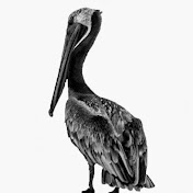 Profile Picture of Victor Matherly (@victormatherly) on Youtube