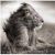 Profile Picture of Steve Gold (@goldsteve) on Pinterest