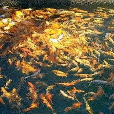 Eunsun Lee - Twitter Profile Picture of Eunsun Lee (@stareunsun) on Twitter