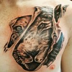 Profile Picture of Dave steele (@needlesofsteele) on Instagram