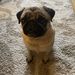 Profile Picture of Brendan Brophy (@bmbrophy) on Pinterest