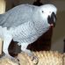Profile Picture of Richard Bybee (@richard.bybee.31) on Facebook