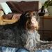 Profile Picture of Merrie Jo Bockhaus Fleming (@libby2010) on Pinterest