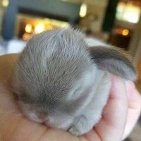 Profile Picture of Gloria Zhao (@gloria-zhao-17) on Quora