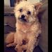 Profile Picture of Barry Brunette (@barry.brunette.3) on Facebook