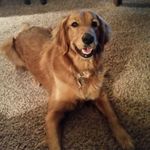 Profile Picture of Nathan Helwig (@ndh51helwig) on Instagram