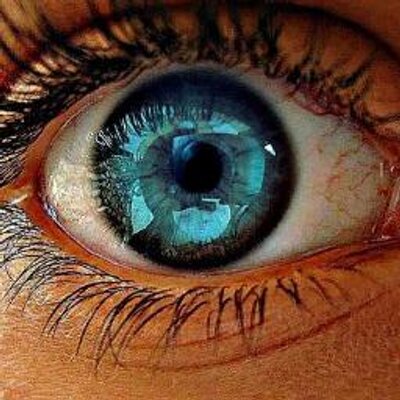 Profile Picture of Sandra Corredor (@corredor_sc) on Twitter