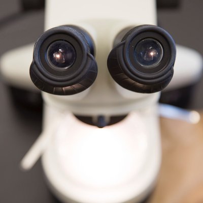 Profile Picture of Claudio López-Guerra (@clopezguerra1) on Twitter