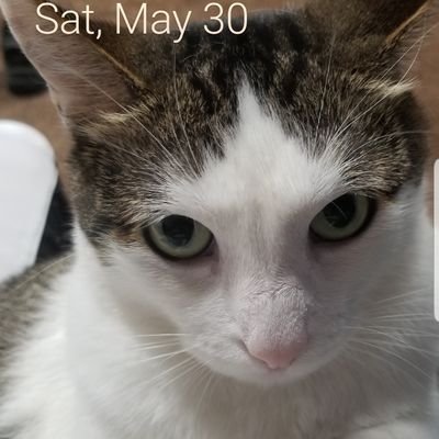 Profile Picture of Jeff Liss (@eljefe314314) on Twitter