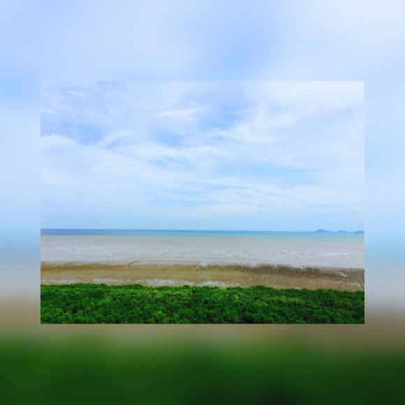 Profile Picture of Paulina Maceda (@paulinamaceda) on Poshmark