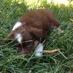 Profile Picture of Mike Marvin (@mike001100) on Instagram