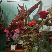 Profile Picture of Anh Vien (@MVienAnh) on Youtube