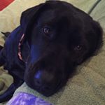 Profile Picture of Pauline Embury (@polly050) on Instagram