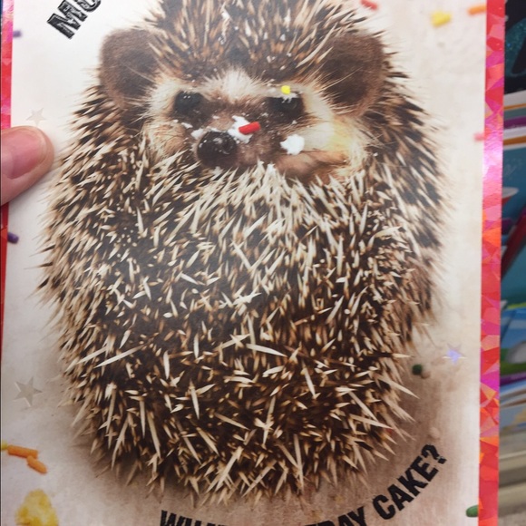 Profile Picture of Jolene Sowada (@j_sowada) on Poshmark