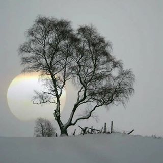 Profile Picture of Joe Wicker (@Joe-Wicker) on Facebook